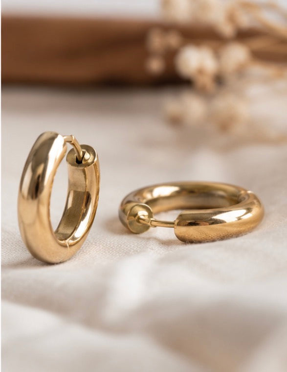 Chunky Hoop Earings